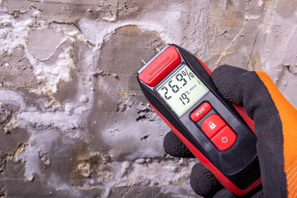 Mold Removal Process in Laporte, CO