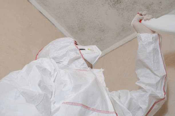 Best Office Mold Removal Services  in Laporte, CO
