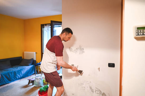 Best Residential Mold Removal  in Laporte, CO