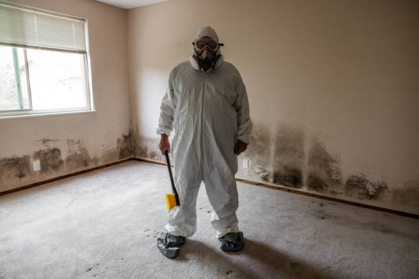 Best Local Mold Removal Service  in Laporte, CO